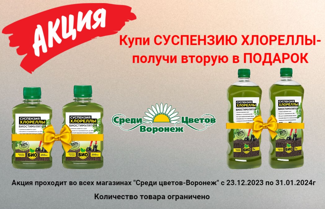 Акция на СУСПЕНЗИЮ ХЛОРЕЛЛЫ Акция на СУСПЕНЗИЮ ХЛОРЕЛЛЫ