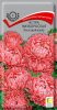 Астра Ковер Лососевый низк. ПОИСК 0,2г (Одн)®