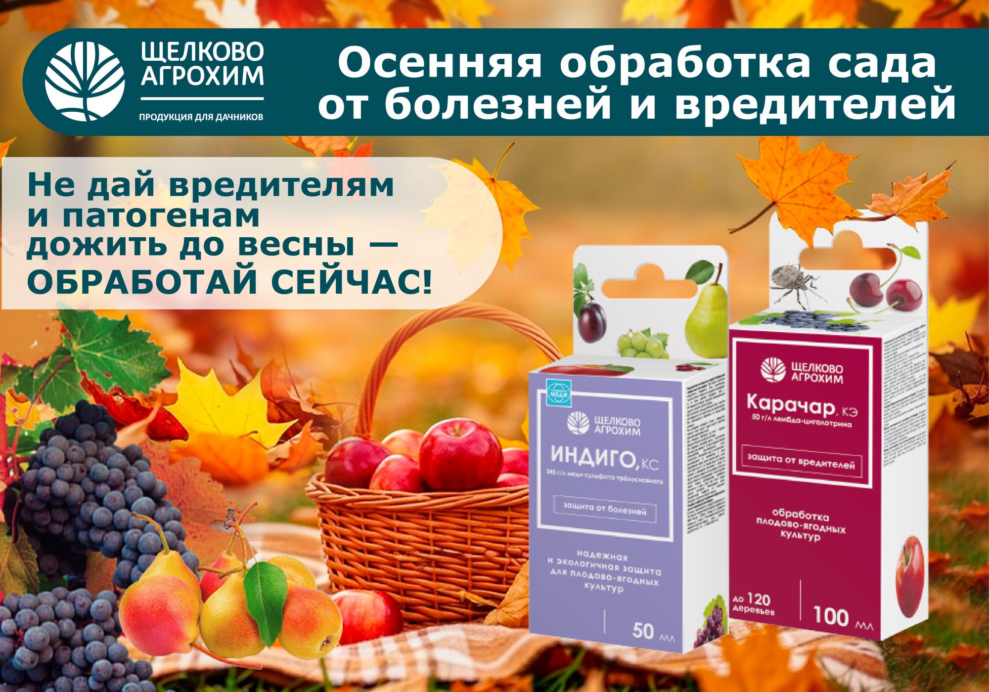 ОСЕННЯЯ ОБРАБОТКА САДА ОТ БОЛЕЗНЕЙ И ВРЕДИТЕЛЕЙ ОСЕННЯЯ ОБРАБОТКА САДА ОТ БОЛЕЗНЕЙ И ВРЕДИТЕЛЕЙ