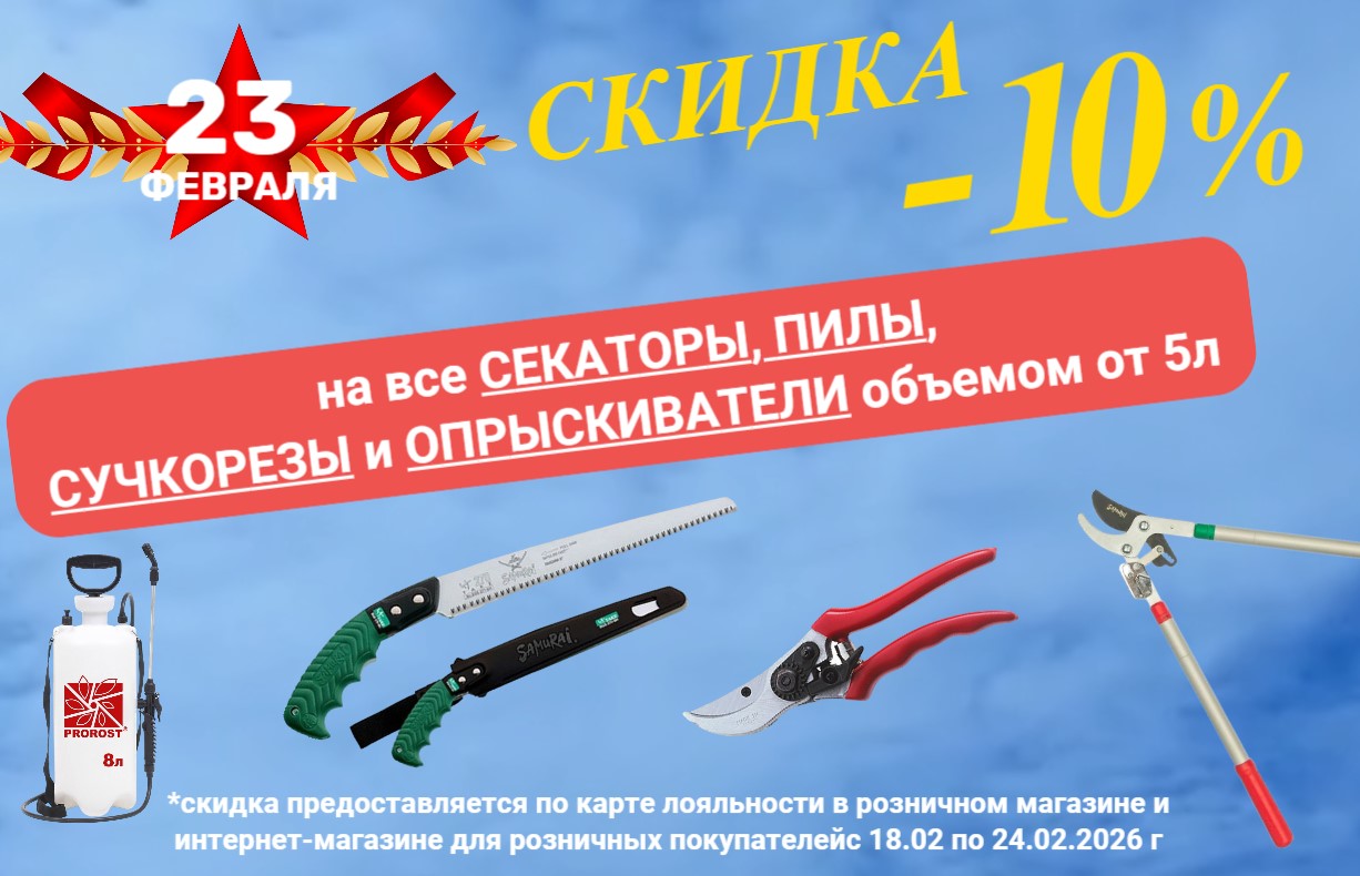 АКЦИЯ 23 ФЕВРАЛЯ 2026 АКЦИЯ 23 ФЕВРАЛЯ 2026