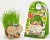 Эколюдики